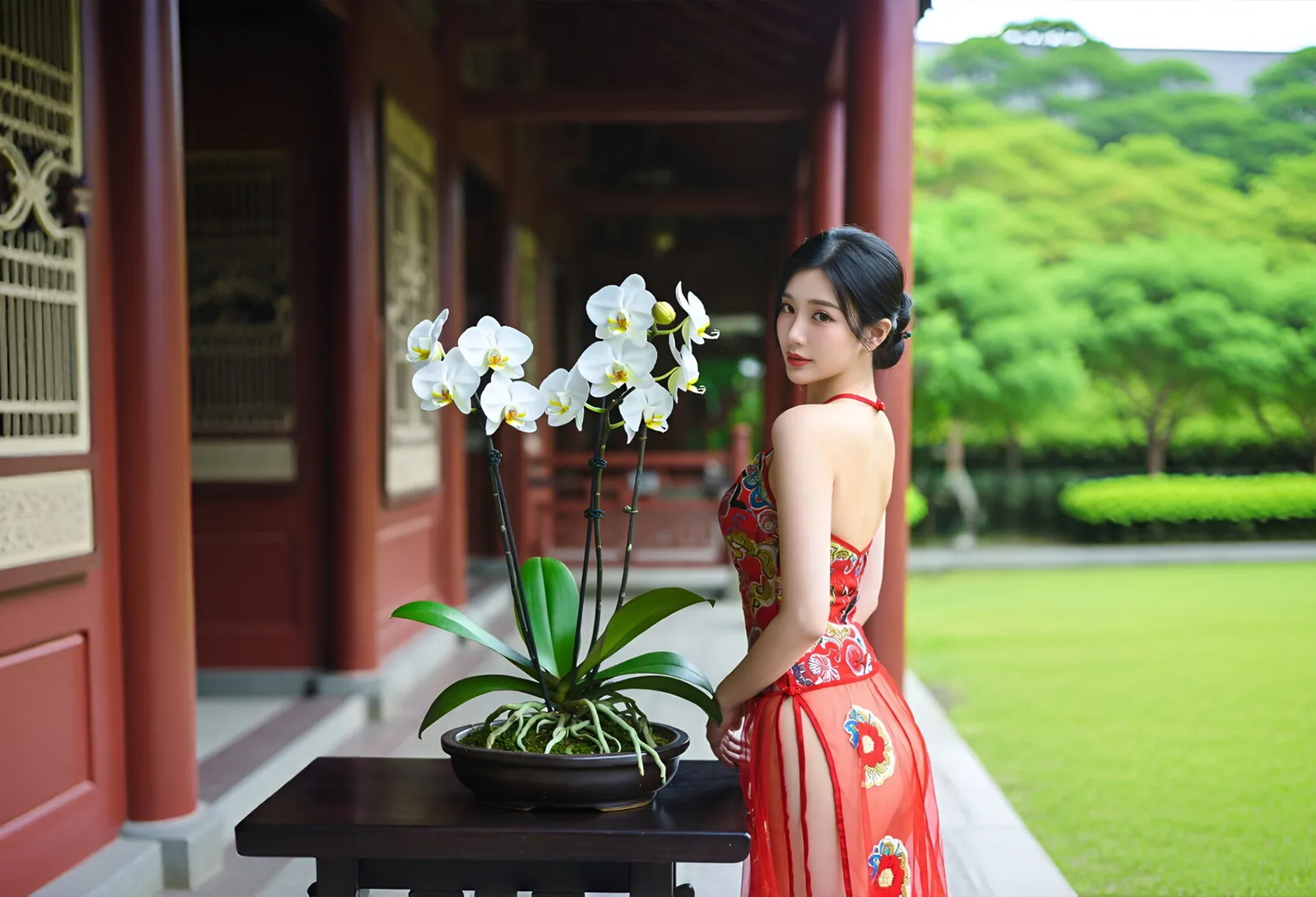蝴蝶兰