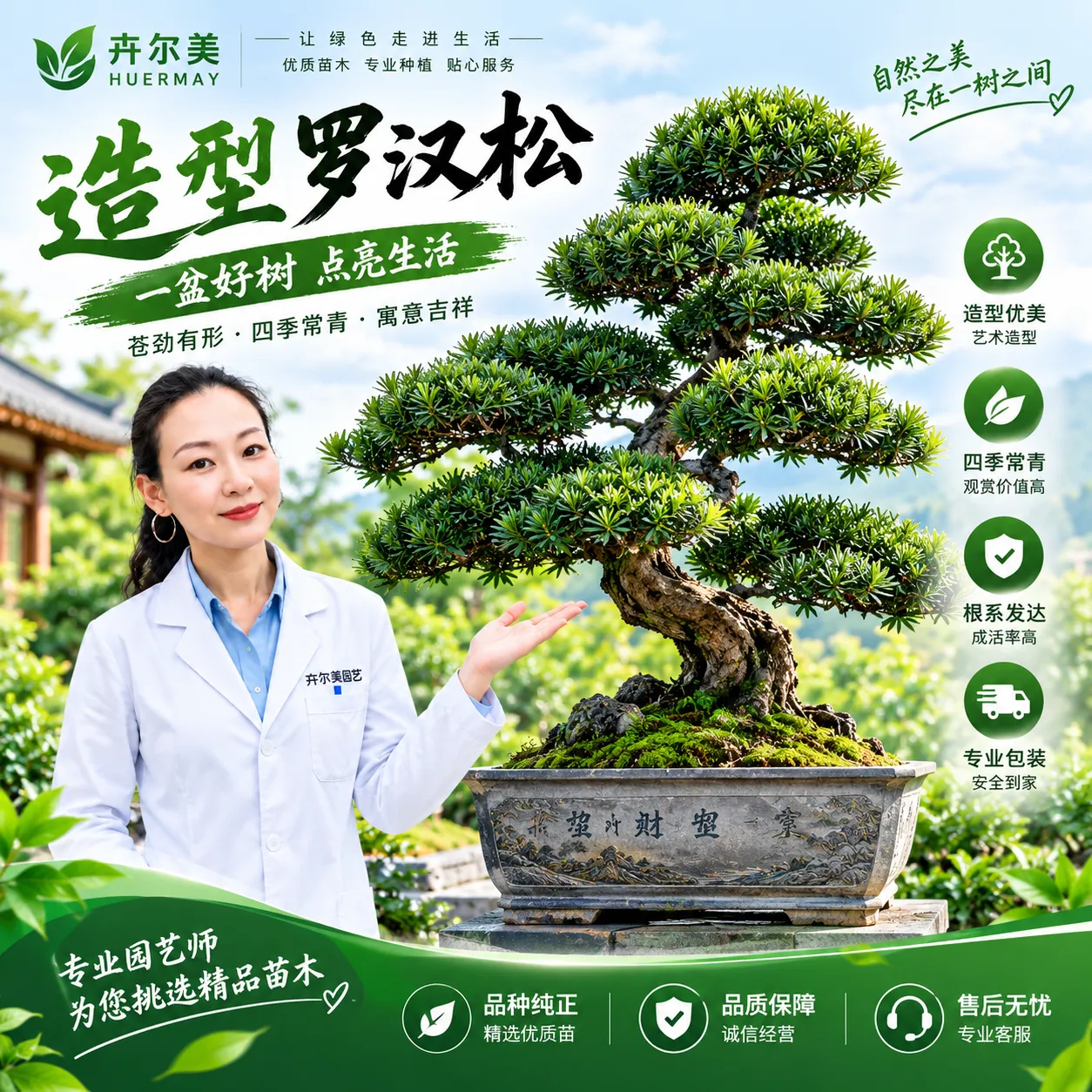罗汉松