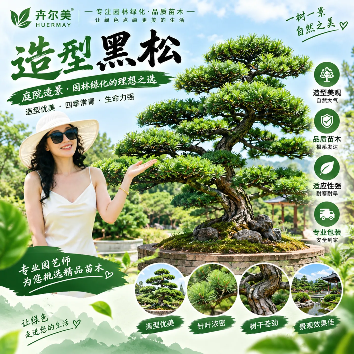 黑松